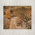 Tom Varley - Leopard Bush Blankie